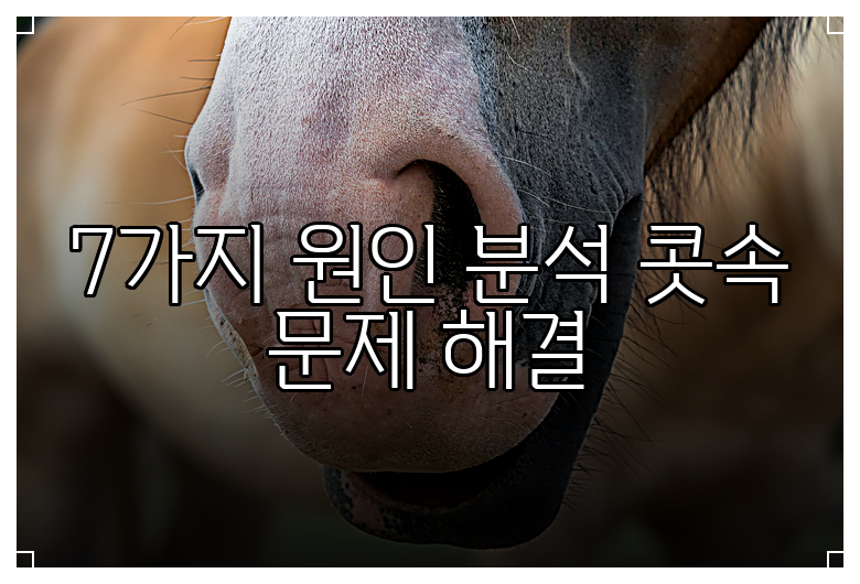 7가지 원인 분석 콧속 문제 해결