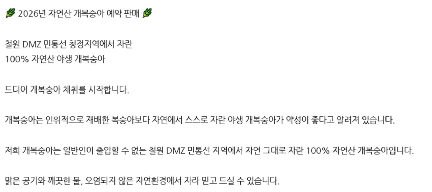철원-개복숭아