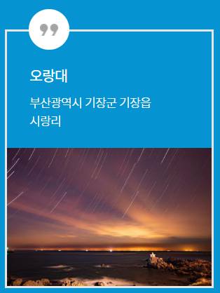 좀비런 부산 기본정보