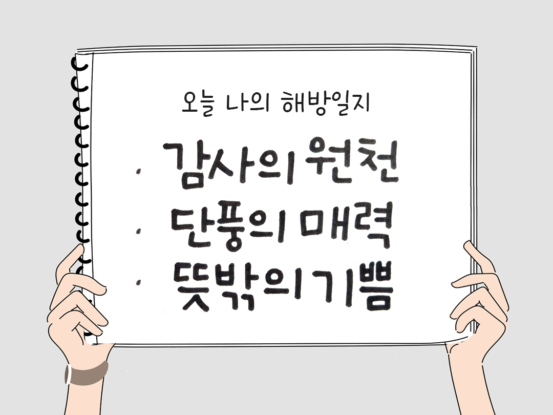 오늘 나의 해방일지 : 감사를 통해 발견한 행복 오늘 감사한 순간들