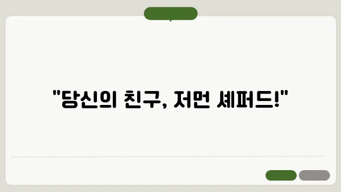 저먼 셰퍼드 강아지의 세계 : 절대적인 친구에 대해