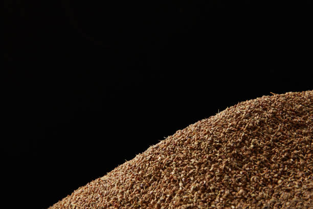 티몰(thymol) 효능