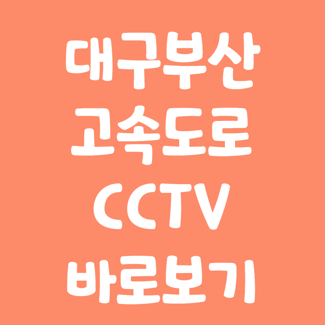 실시간 대구부산 고속도로 CCTV 바로보기