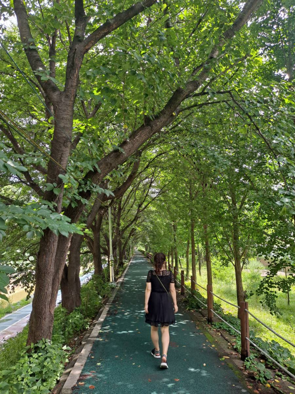 시민의숲 산책로 걷는중