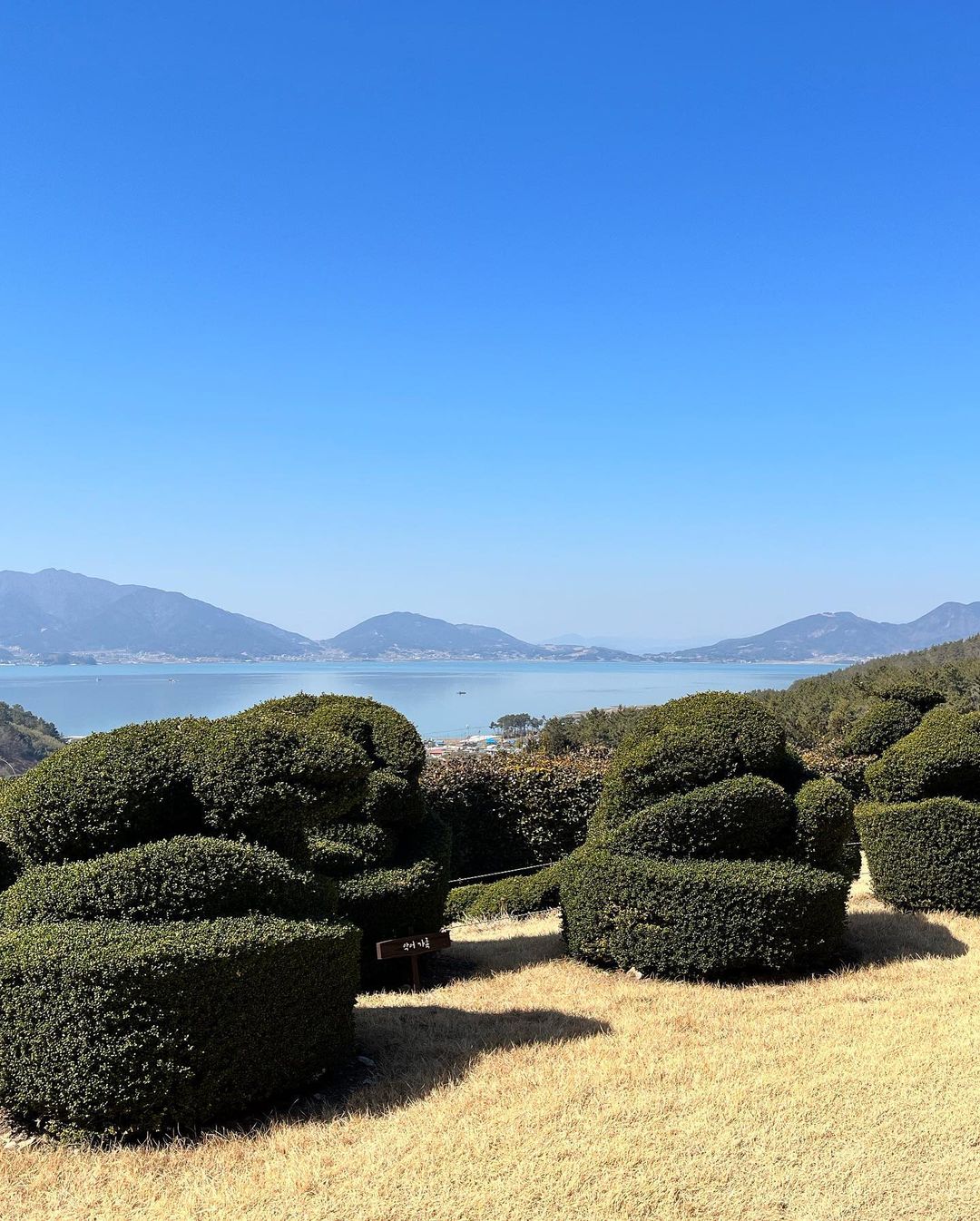 생방송오늘저녁 대한민국 보물정원 남해 여행 추천
