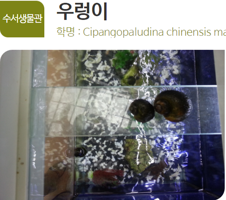 아산 생태곤충원