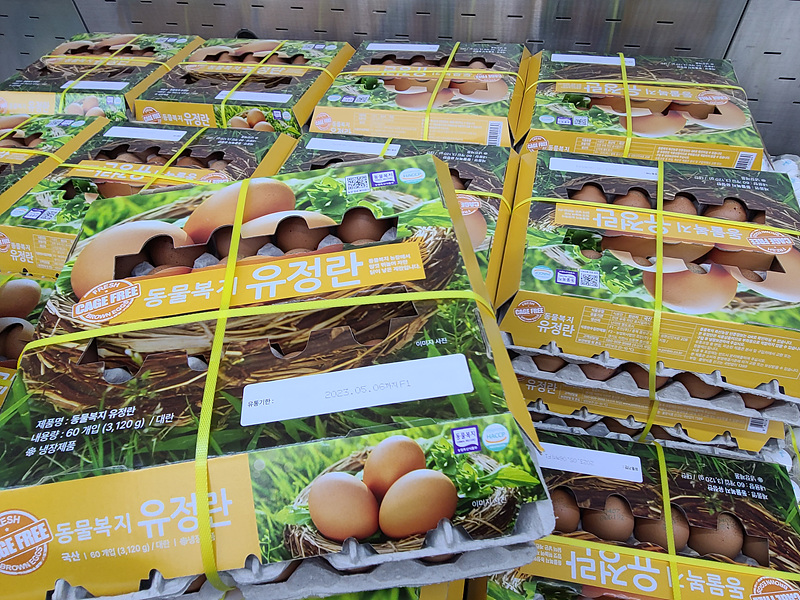 이마트 트레이더스 추천상품