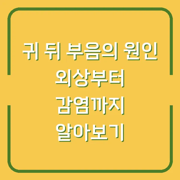 귀 뒤 부음의 원인 외상부터 감염까지 알아보기