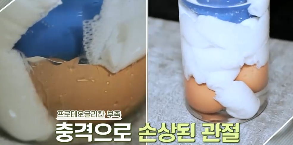 프로테오글리칸 효능