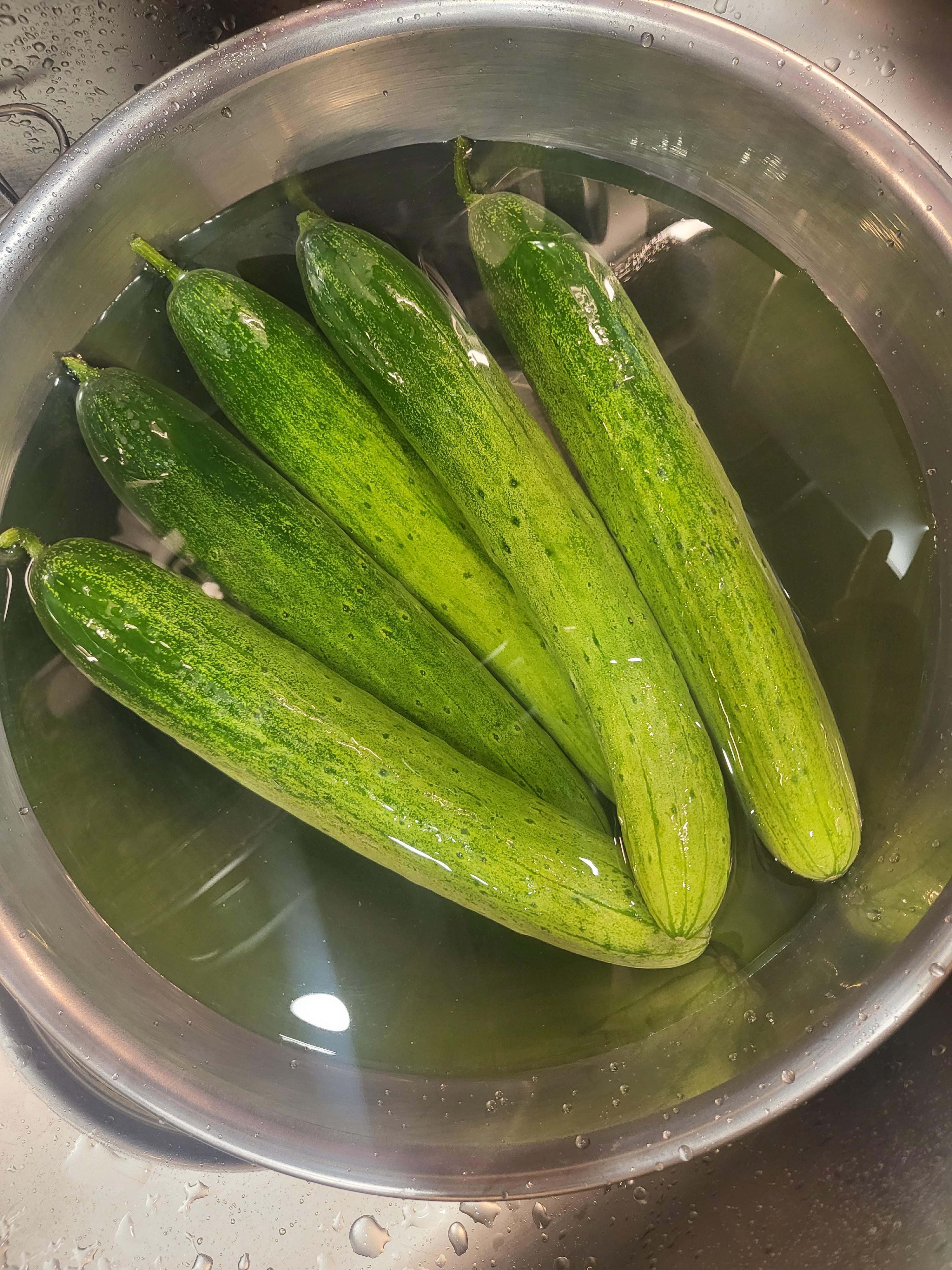 오이 5개를 물에 담궈 베이킹소다를 넣고 문지른다