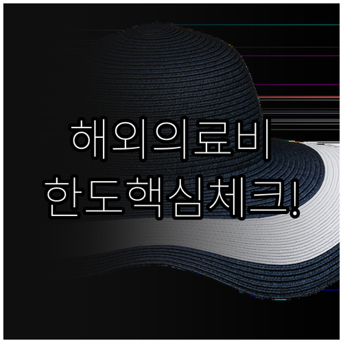 미국 유럽 여행 필수 현대해상 해외의..