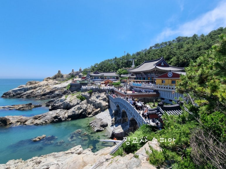 ✨부산 해동용궁사 꿀팁 총정리|108번뇌, 절밥 공양, 교통정보까지!✨