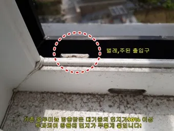 구더기 생기는 이유 방지 방법 정리_19