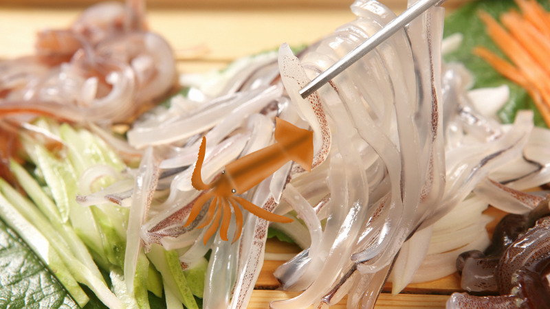 8월 제철 오징어회 신선한 모습