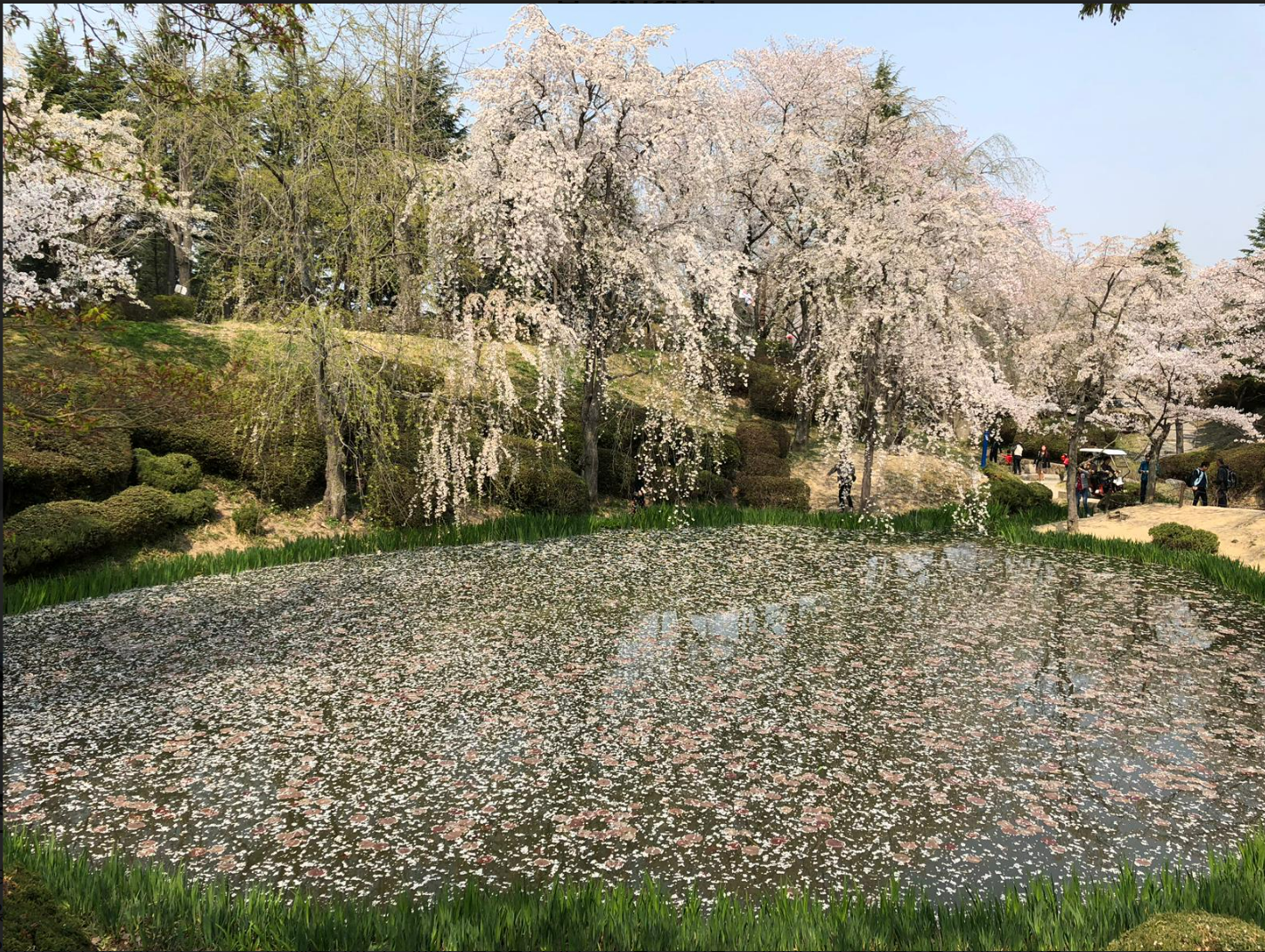 경주-보문정