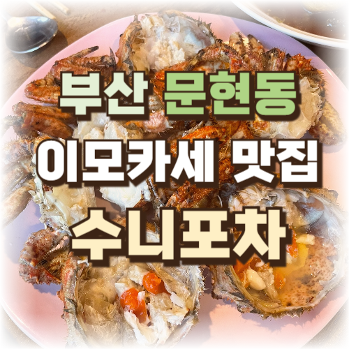 수니포차 썸네일