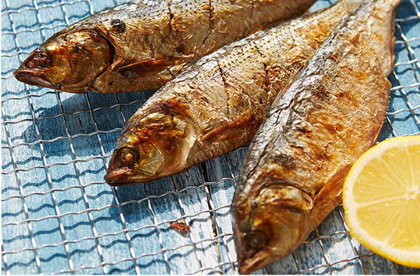 전어 효능 및 부작용