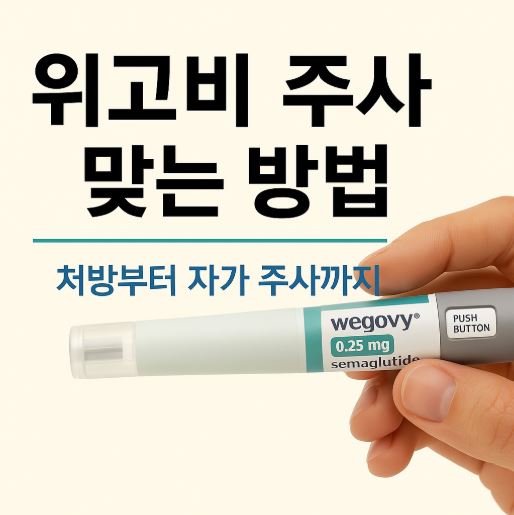 위고비 주사 맞는방법 관련 사진