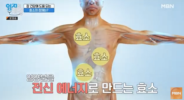 카무트, 카무트 효소