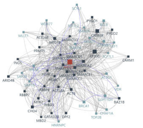 Protein interaction 데이터의 신뢰성 문제
