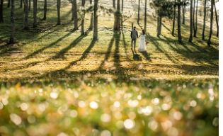 2030세대가 좋아하는 한국영화 (로맨스, 청춘, 드라마)