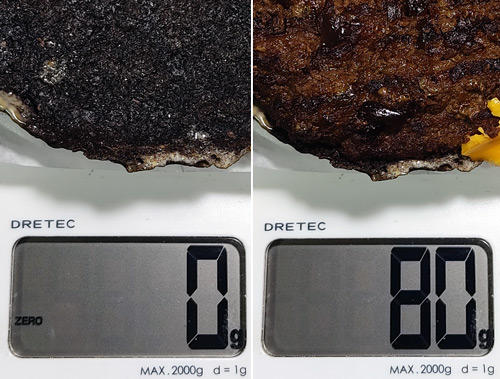 블랙어니언와퍼