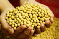 갑상선에-좋은-음식