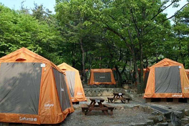 캠핑장-피크닉-텐트와-테이블이-있는-모습