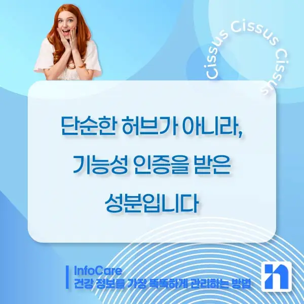 시서스 효능