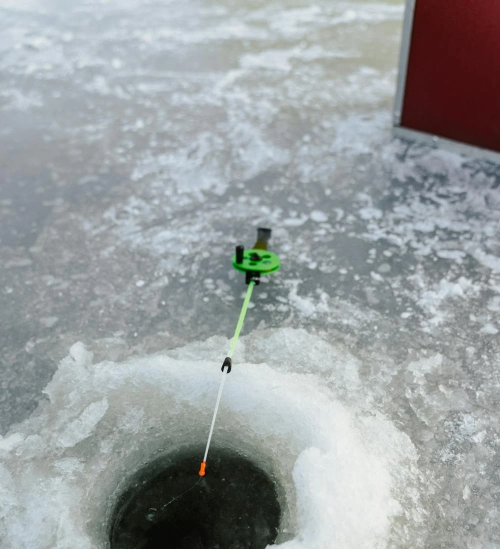 2026 평창 겨울 송어축제