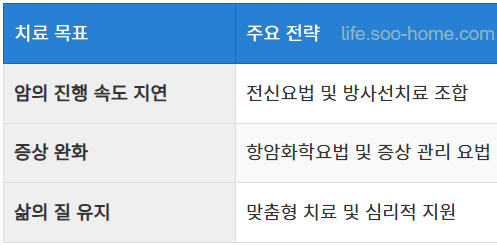 치료 목표와 전략