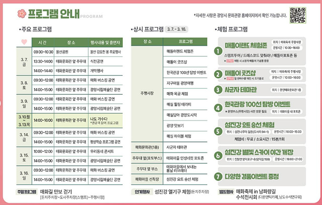 광양매화축제 기간 입장료 개화상황 프로그램 주차장 셔틀버스 25년3월8일실시간사진
