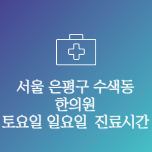 서울 은평구 수색동 주말 토요일 일요일 문여는 병원 진료시간