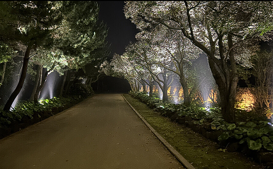 제주 민속촌 벨섬 입장료 할인