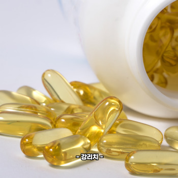 오마가3 지방산의 특징