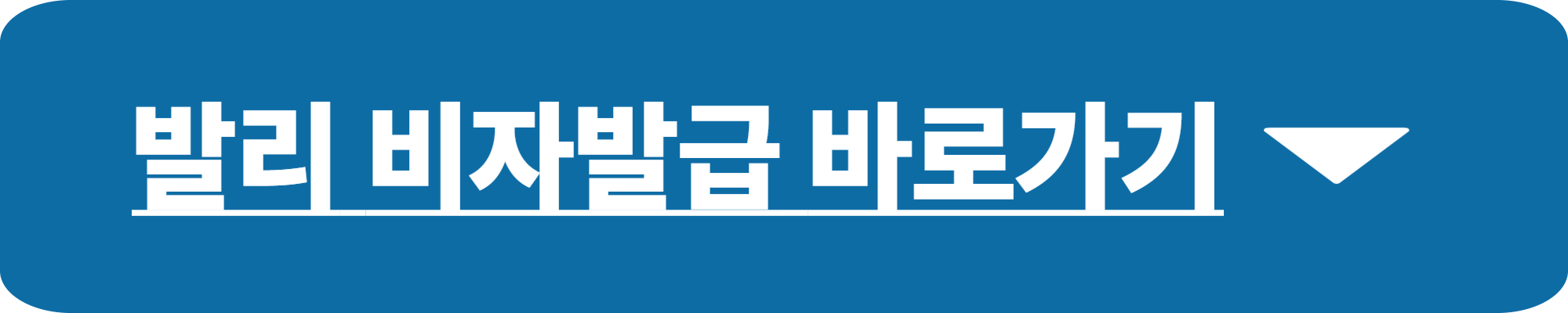 발리 비자발급