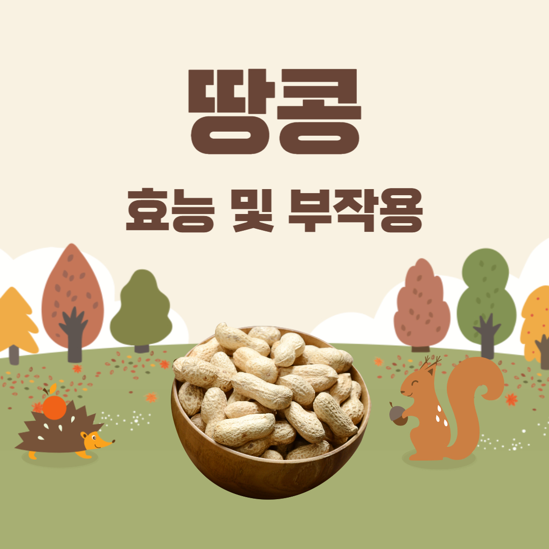 땅콩 효능 부작용