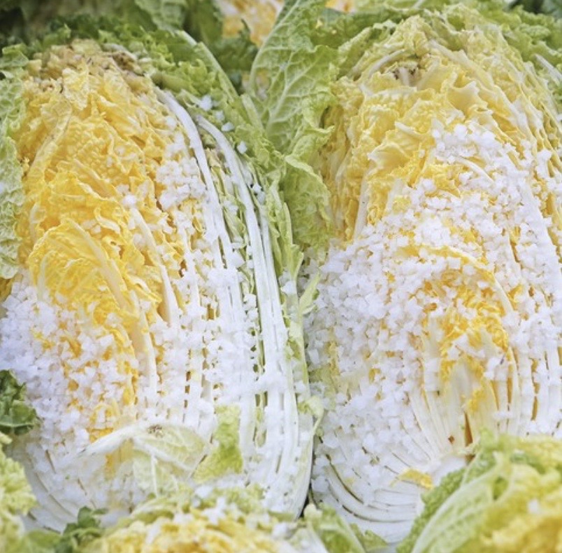 영월고랭지절임배추