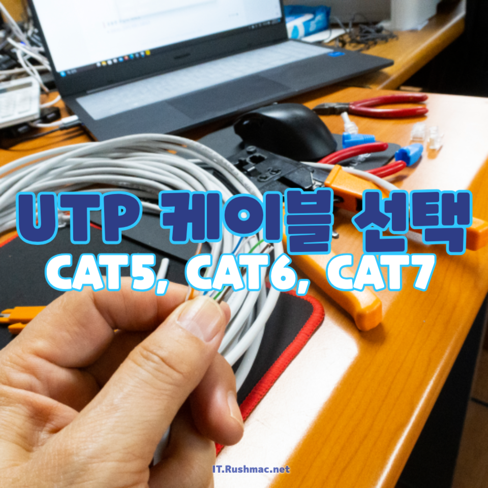 UTP 케이블 선택