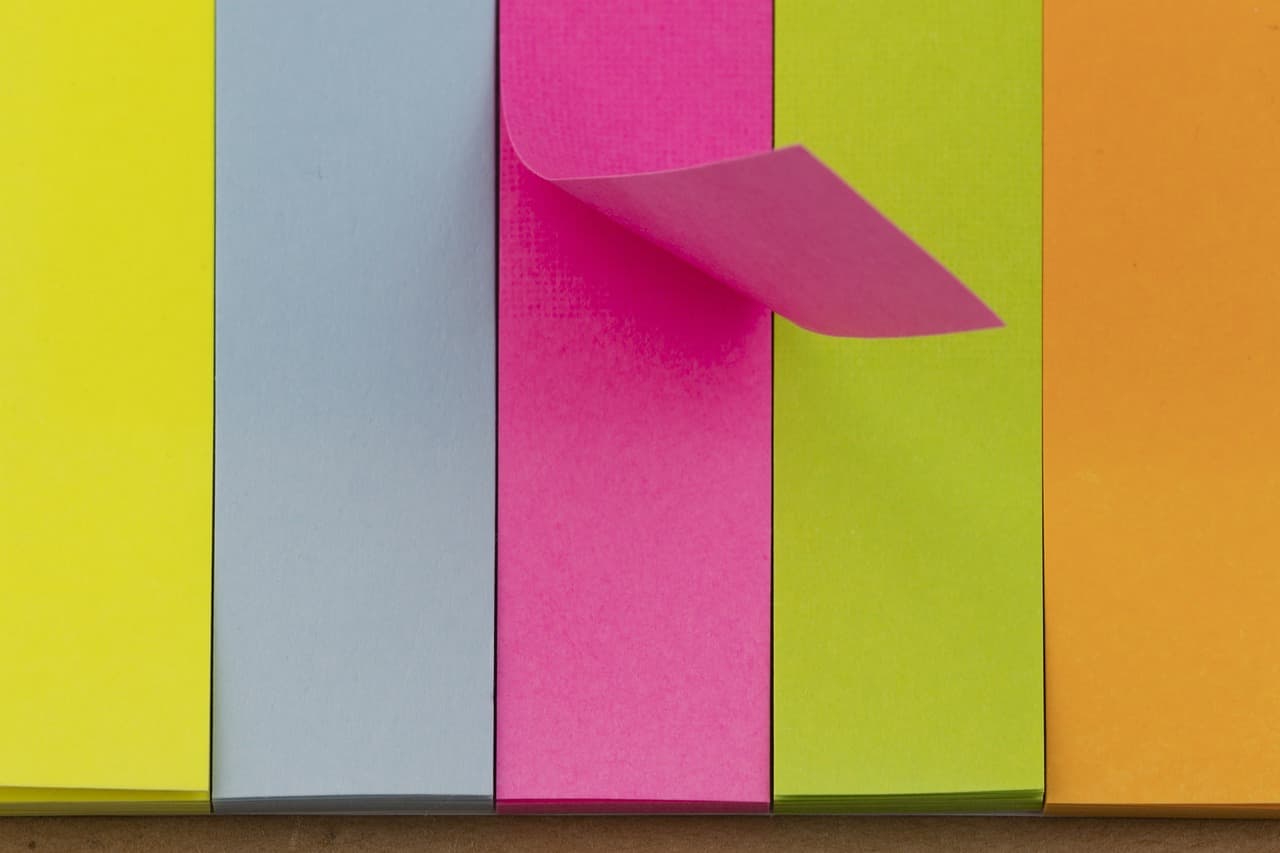 클라우드 속 내 사진은 진짜 내 것일까?