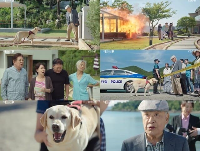 시트콤 개소리 KBS2 TV