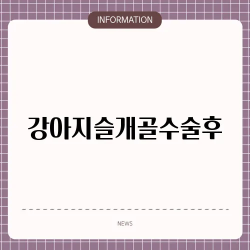 강아지슬개골수술후