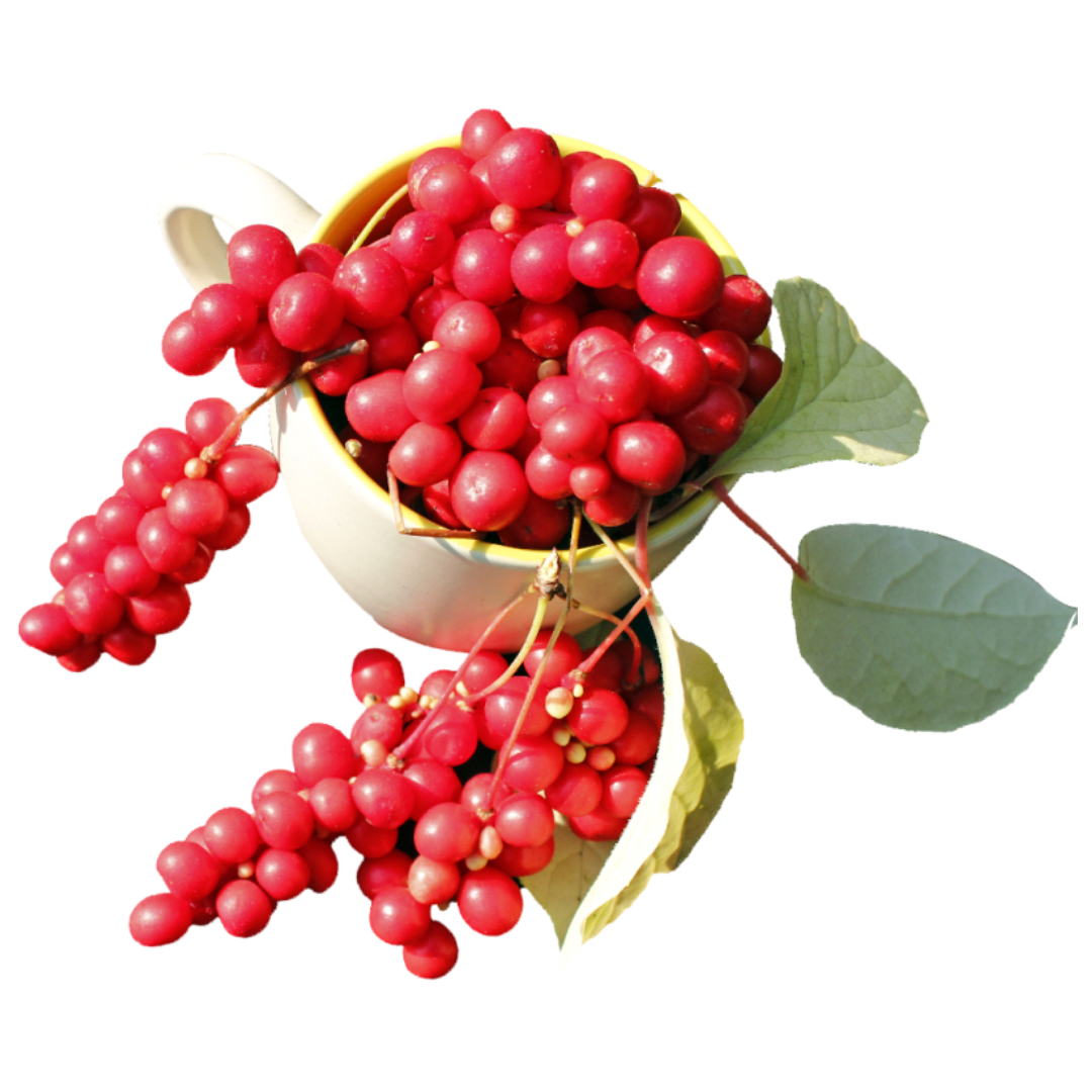 오미자와 관련된 사진입니다.