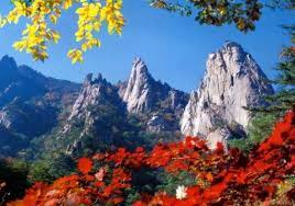 출처 구글이미지 설악산 단풍