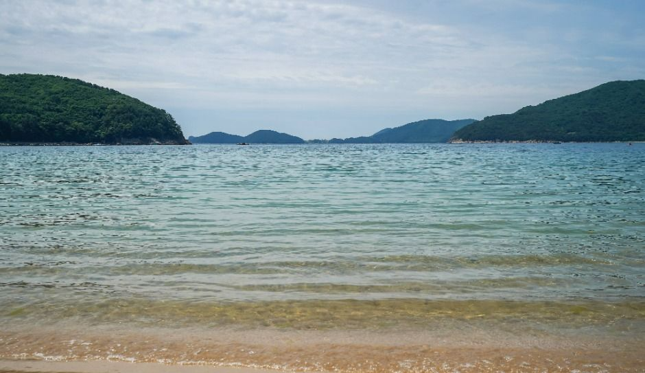 남해안 반려견 겨울 나들이 명소, 강아지와 함께 걷기 좋은 바다 산책 코스