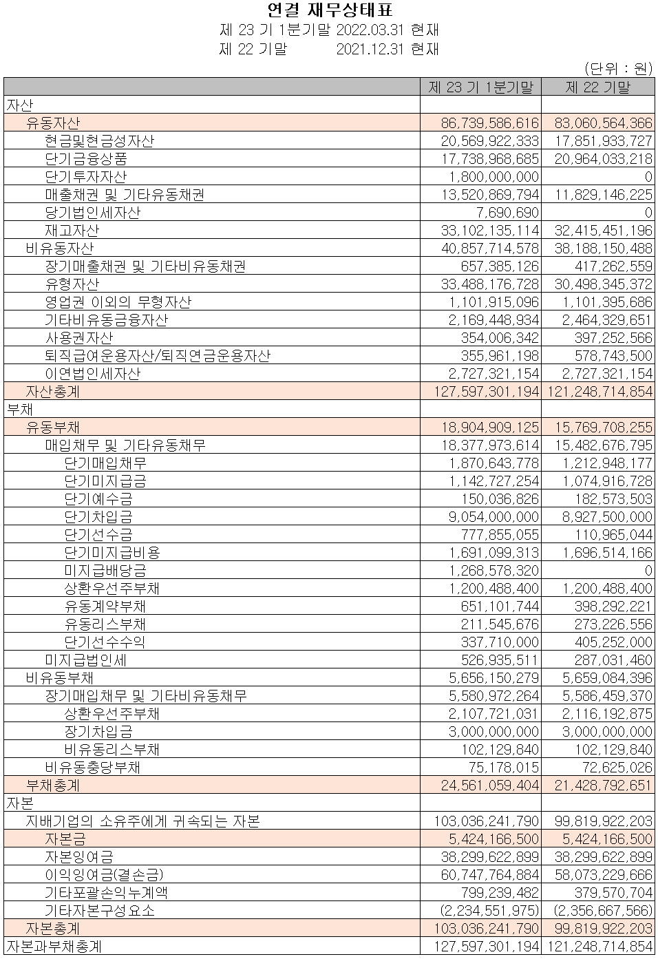 나노신소재 - 재무상태표