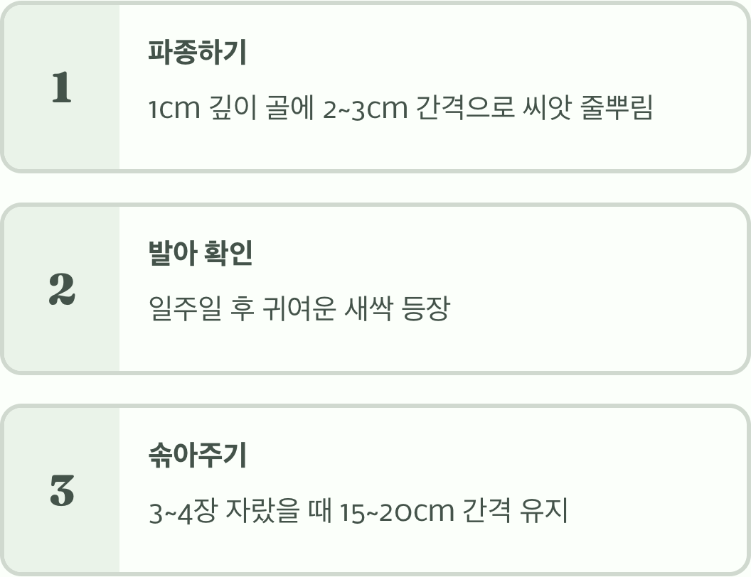 초보자도 OK! 파종과 솎아주기