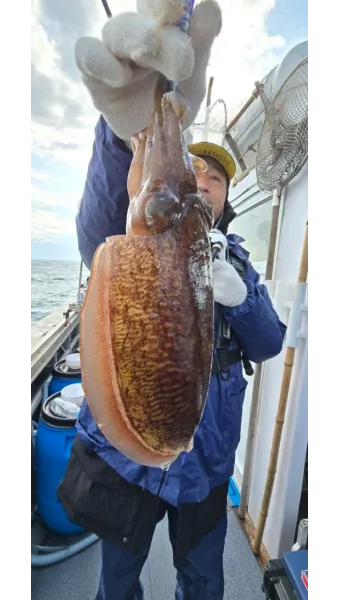 갑오징어 제철 시기 요리 레시피 황금레시피_12