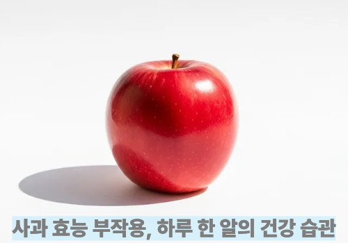 사과 효능 부작용, 하루 한 알의 건강 습관