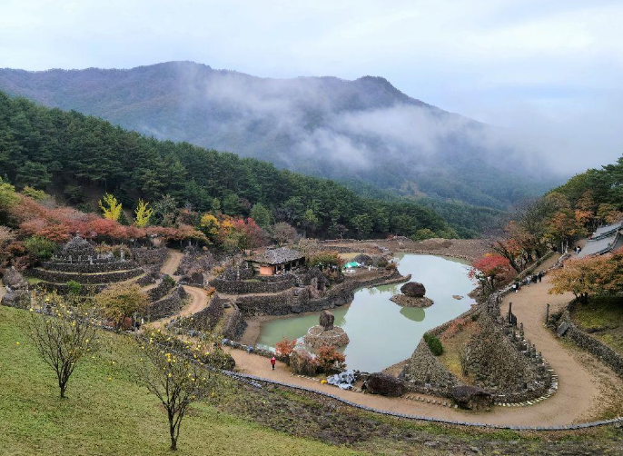 하동 벚꽃 개화상황